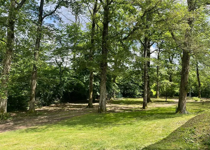 Au Coeur Des Bois